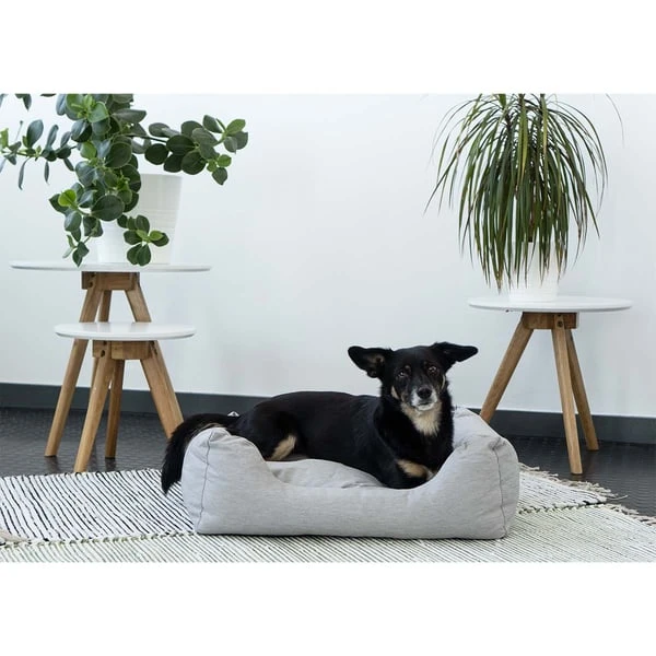 ZooRoyal In- & Outdoor Haustierbett Sam 61x48 Cm 5 ZooRoyal In- & Outdoor Haustierbett Sam 61x48 Cm – Bild 3