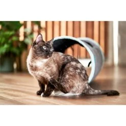 ZooRoyal Rascheltunnel Maja Anthrazit Ø 30 X 90 Cm 22 ZooRoyal Rascheltunnel Maja Anthrazit Ø 30 X 90 Cm -Haustierprodukte zooroyal rascheltunnel maja anthrazit O 30 x 90 cm 5