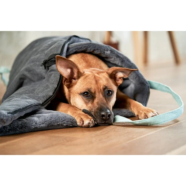 ZooRoyal Reisedecke Carl Anthrazit 120 X 85 Cm 16 ZooRoyal Reisedecke Carl Anthrazit 120 X 85 Cm – Bild 14