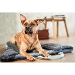 ZooRoyal Reisedecke Carl Anthrazit 120 X 85 Cm 33 ZooRoyal Reisedecke Carl Anthrazit 120 X 85 Cm -Haustierprodukte zooroyal reisedecke carl anthrazit 120 x 85 cm 7