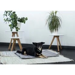 ZooRoyal Reisedecke Sam 75x60cm -Haustierprodukte zooroyal reisedecke sam dunkelgrau 3