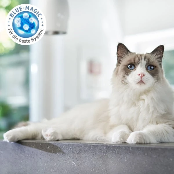 ZooRoyal Tigrooo Blue Magic 5 ZooRoyal Tigrooo Blue Magic – Bild 3