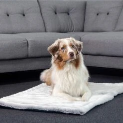 ZooRoyal Premium Haustier Kuscheldecke Luna 115x71 Cm -Haustierprodukte zooroyal kuscheldecke luna braun web 2