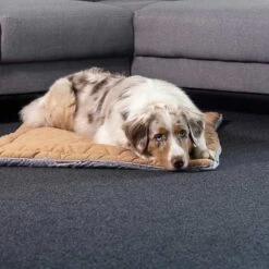 ZooRoyal Premium Haustier Kuscheldecke Luna 115x71 Cm -Haustierprodukte zooroyal kuscheldecke luna braun web 3