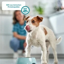 ZooRoyal Rind + Pur 8 ZooRoyal Rind + Pur -Haustierprodukte zooroyal rind plus proteinquellen webaBFuLg4CQSC94